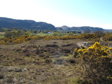 Poolewe (Srndubh)