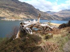 Loch Hourn - Eilean Mhogh-sgeir