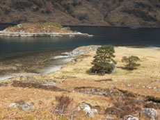 Loch Hourn - Eilean Mhogh-sgeir et Runival