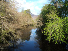 Kinlokewe River