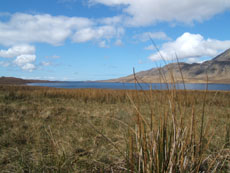 Fionn Loch